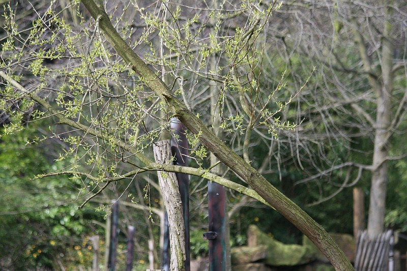 Fotoclubje Blijdorp 2008-48.jpg